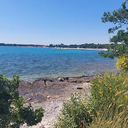 Schoene Nur 500 Meter Bis Zum Kieselstrand Mit Grossem Pool, Kueche, Klima, Wlan, Balkon, Grill * Ližnjan